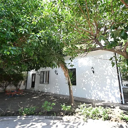 Charm And Quiet Katánie