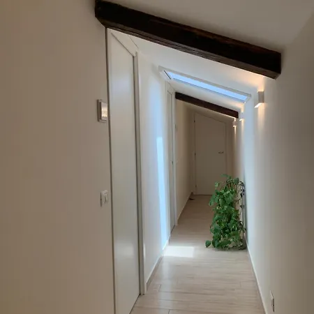 Charm And Quiet Katánie